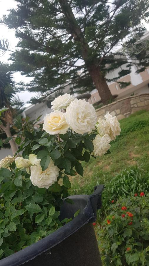 קפלוס Vasilis Studios 2 מראה חיצוני תמונה